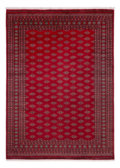 Buchara Teppich 253x350cm - Orientteppich