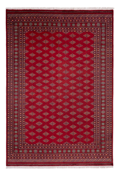 Buchara Teppich 249x365cm - Orientteppich