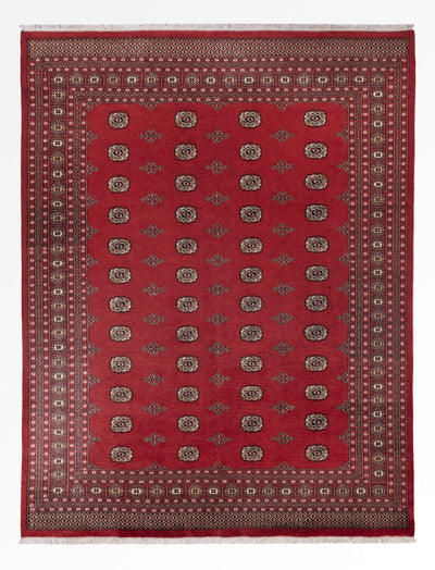 Pakistan Teppich 251x331cm - Orientteppich