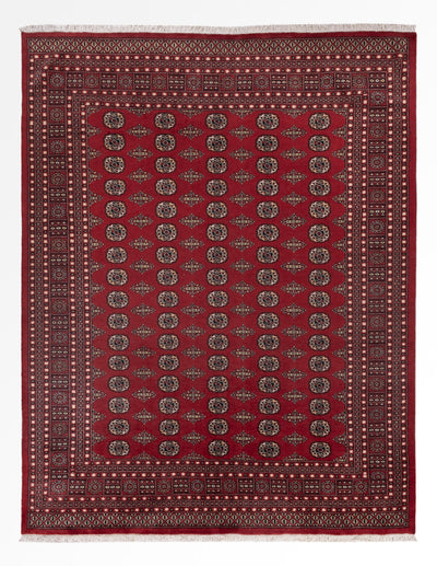 Pakistan Teppich 248x318cm - Orientteppich