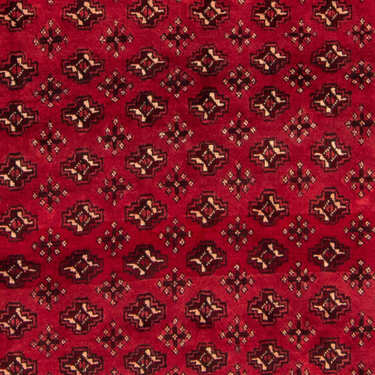 Turkaman Teppich - 239 x 130 cm - rot