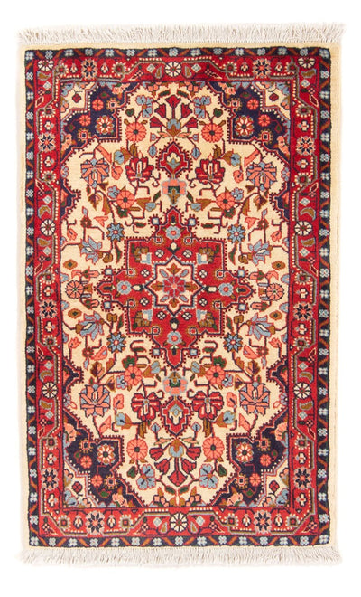 Jozan Teppich 73x115cm - Perserteppich