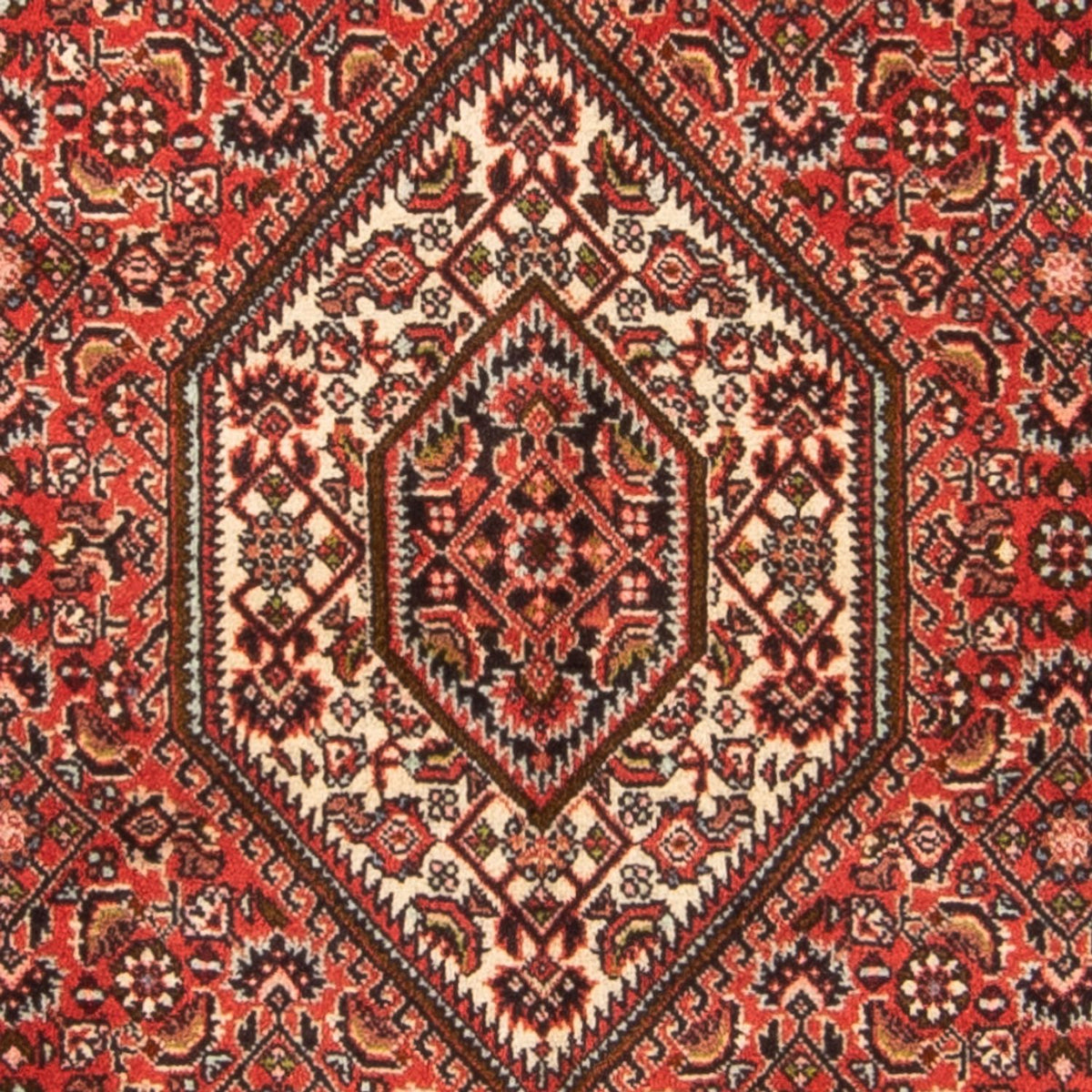 Perserteppich - Bidjar - Royal - 137 x 81 cm - rot