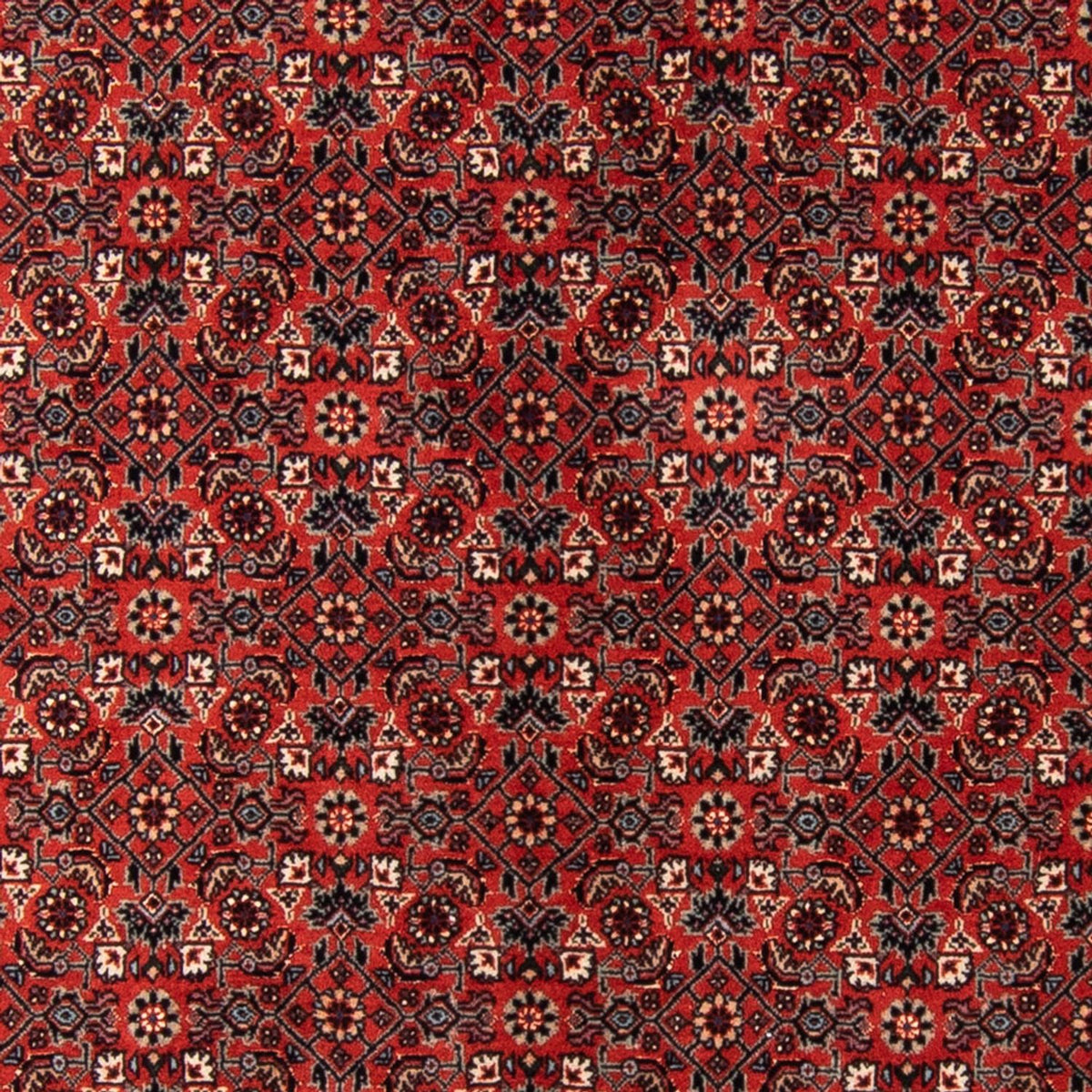 Läufer Perser - Bidjar - Royal - 205 x 102 cm - rot