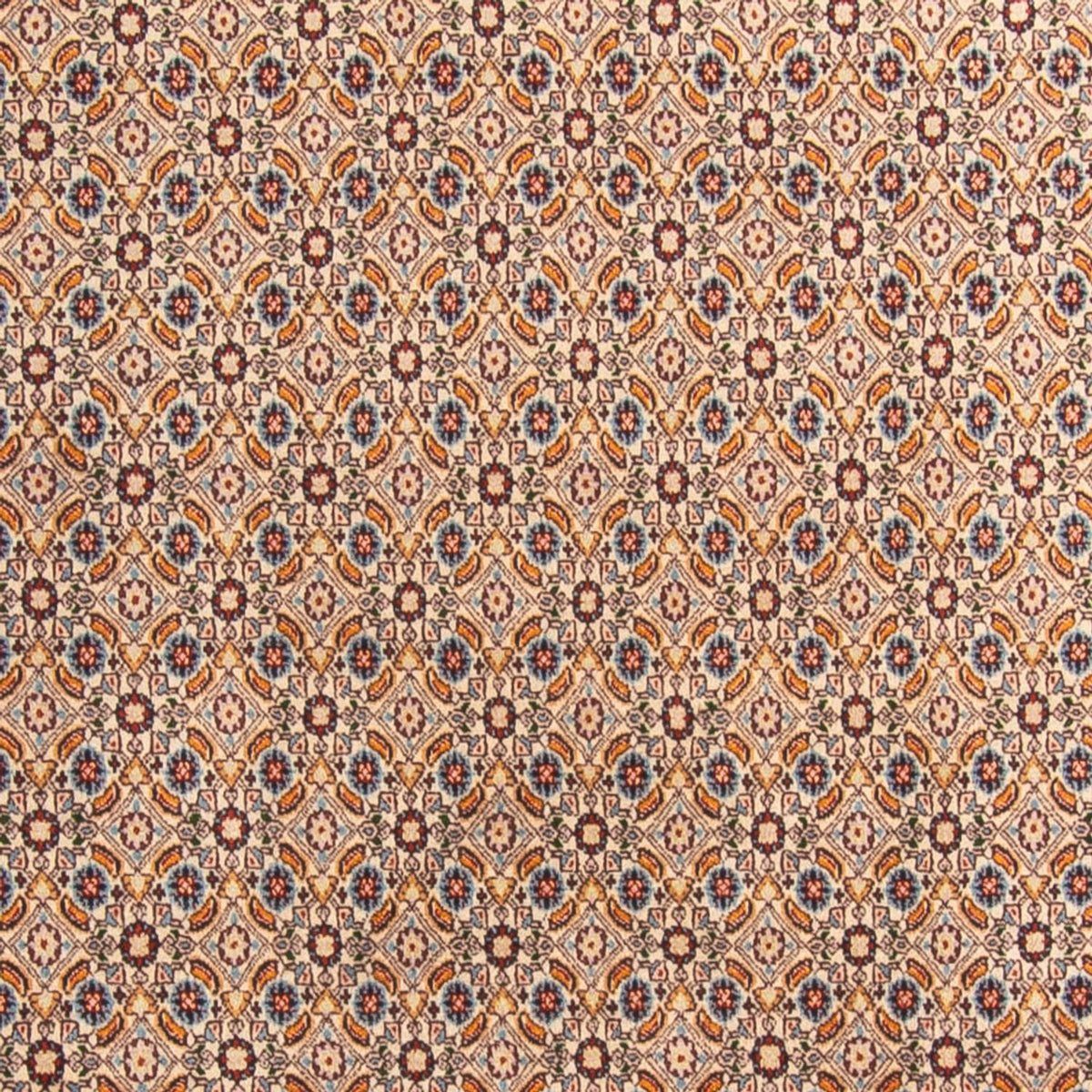 Perserteppich - Classic - 245 x 205 cm - mehrfarbig