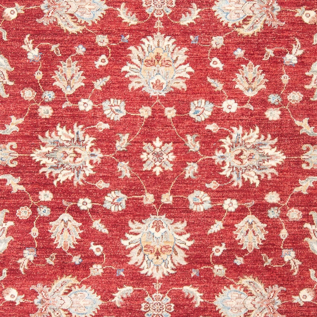 Ziegler Teppich - 243 x 178 cm - rot