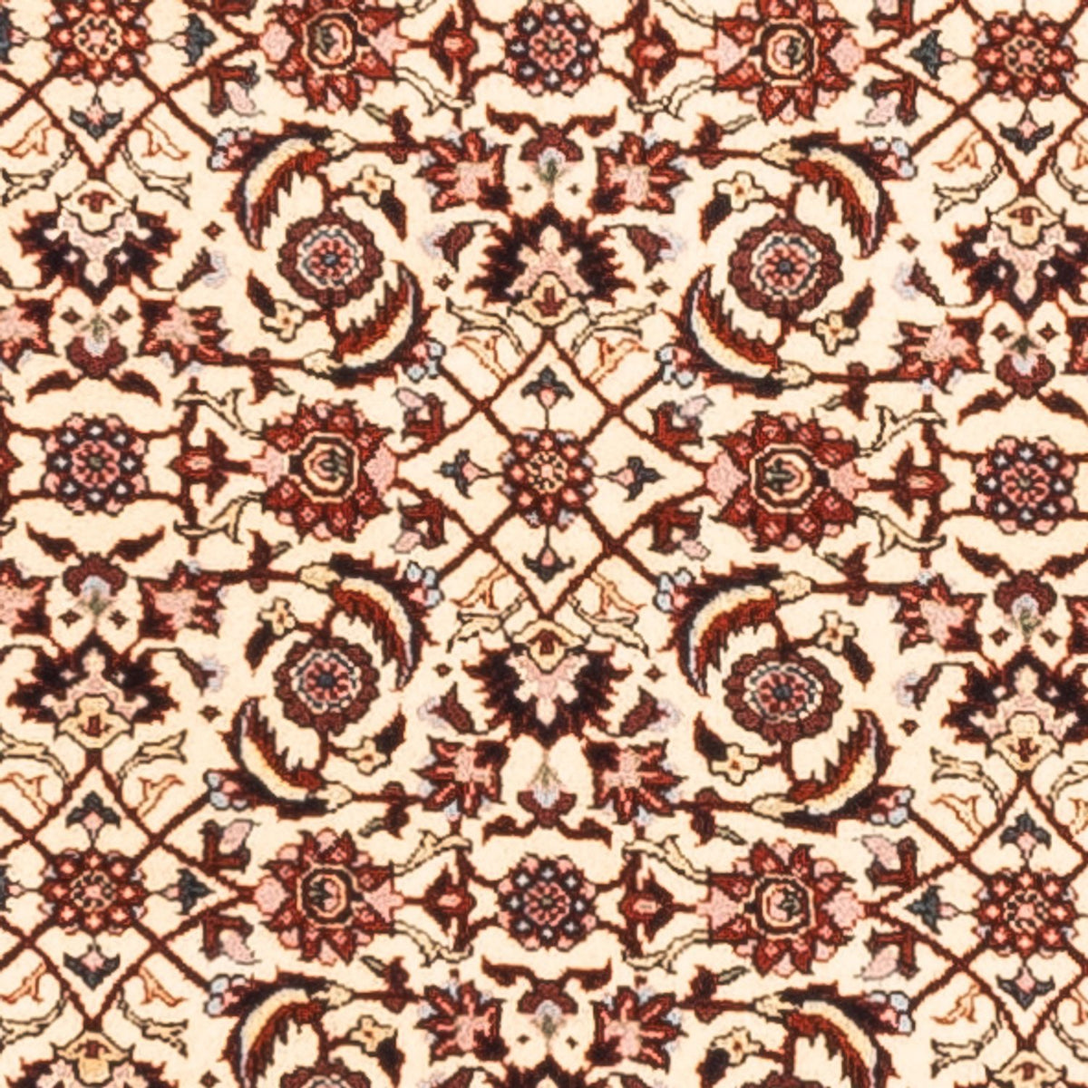 Läufer Perser - Bidjar - Royal - 300 x 80 cm - creme