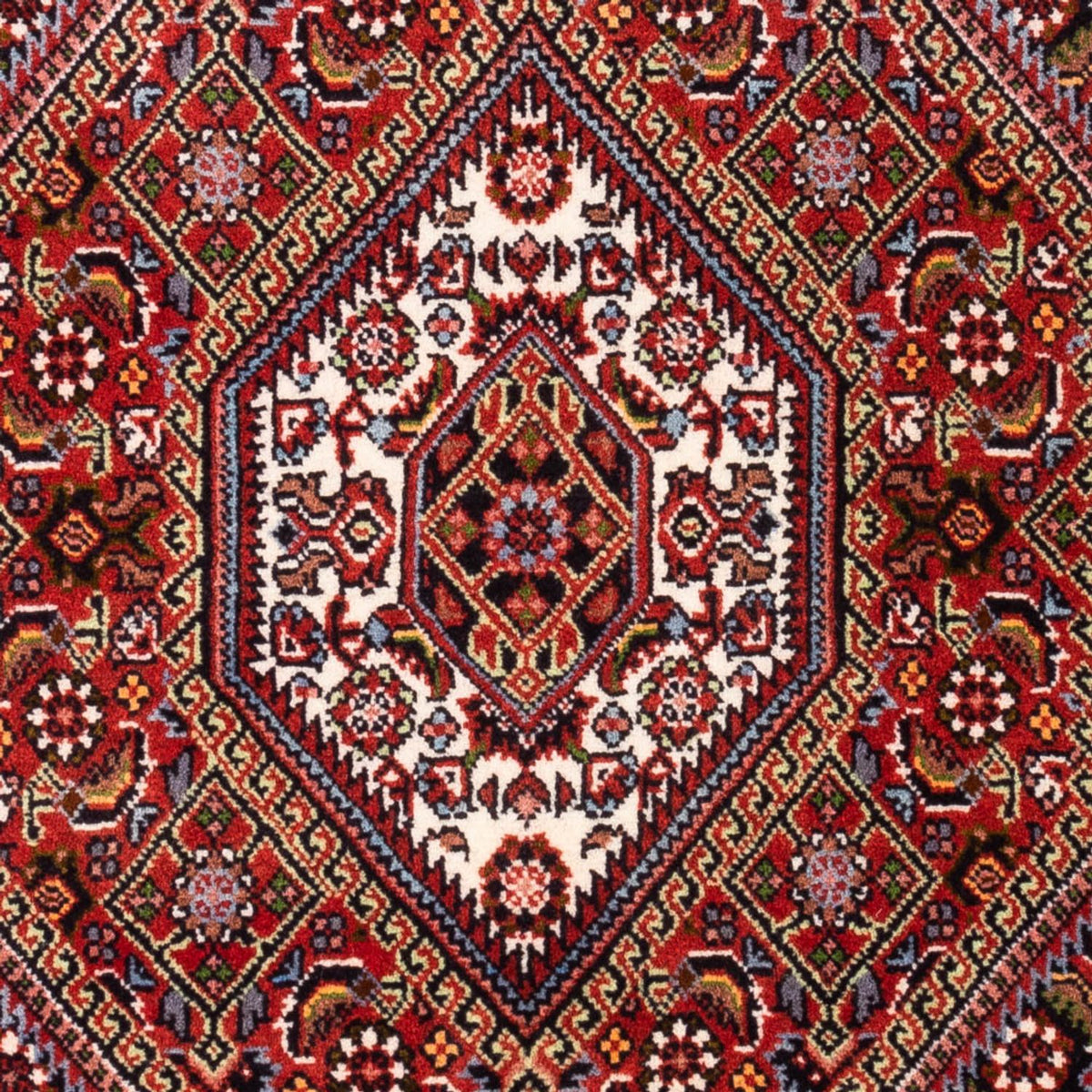 Perserteppich - Bidjar - Royal - 106 x 70 cm - rot