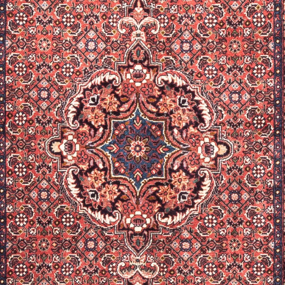 Läufer Perser - Bidjar - 238 x 73 cm - rot