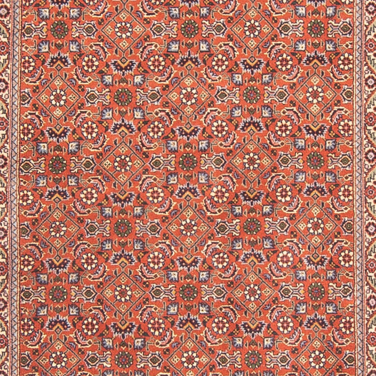Läufer Perser - Bidjar - 300 x 100 cm - rot