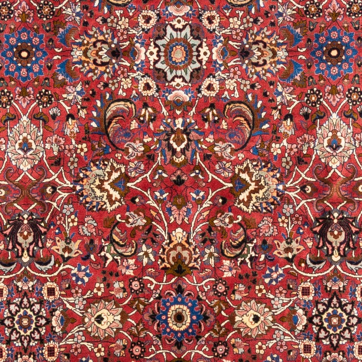 Perserteppich - Bidjar - Royal - 246 x 197 cm - bordeauxrot