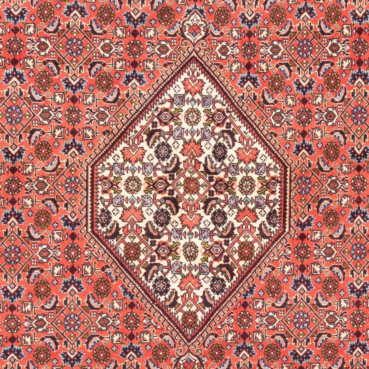 Perserteppich - Bidjar - 242 x 170 cm - rot