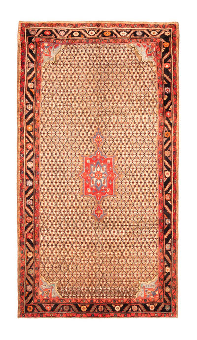 Kolyai Teppich 170x313cm - Perserteppich