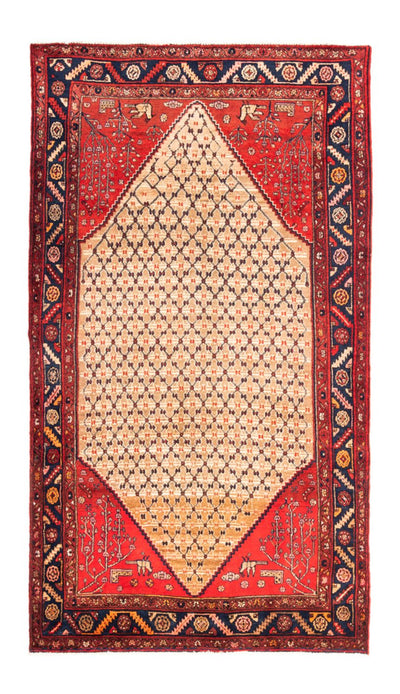 Kolyai Teppich 153x273cm - Perserteppich