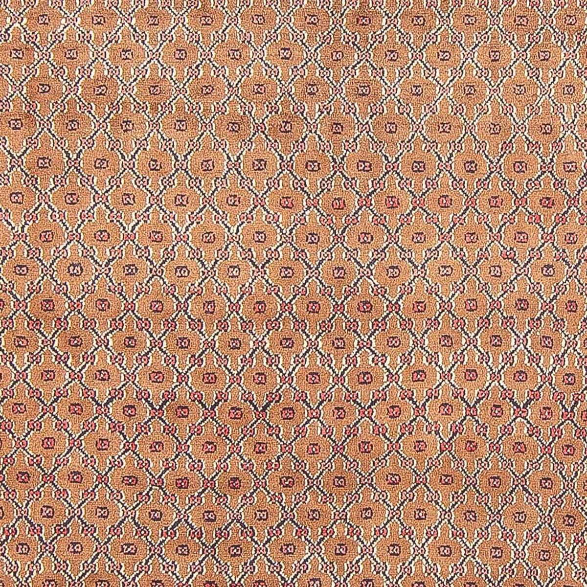 Perserteppich - Nomadic - 290 x 150 cm - mehrfarbig