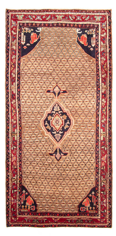 Kolyai Teppich 160x310cm - Perserteppich