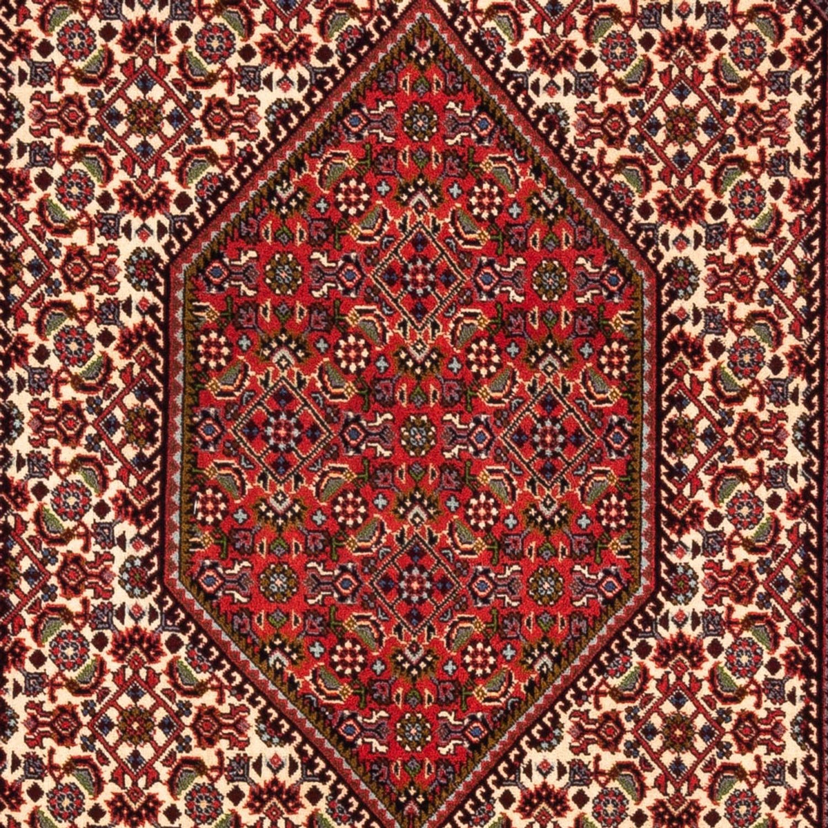 Perserteppich - Bidjar - Royal - 180 x 112 cm - creme