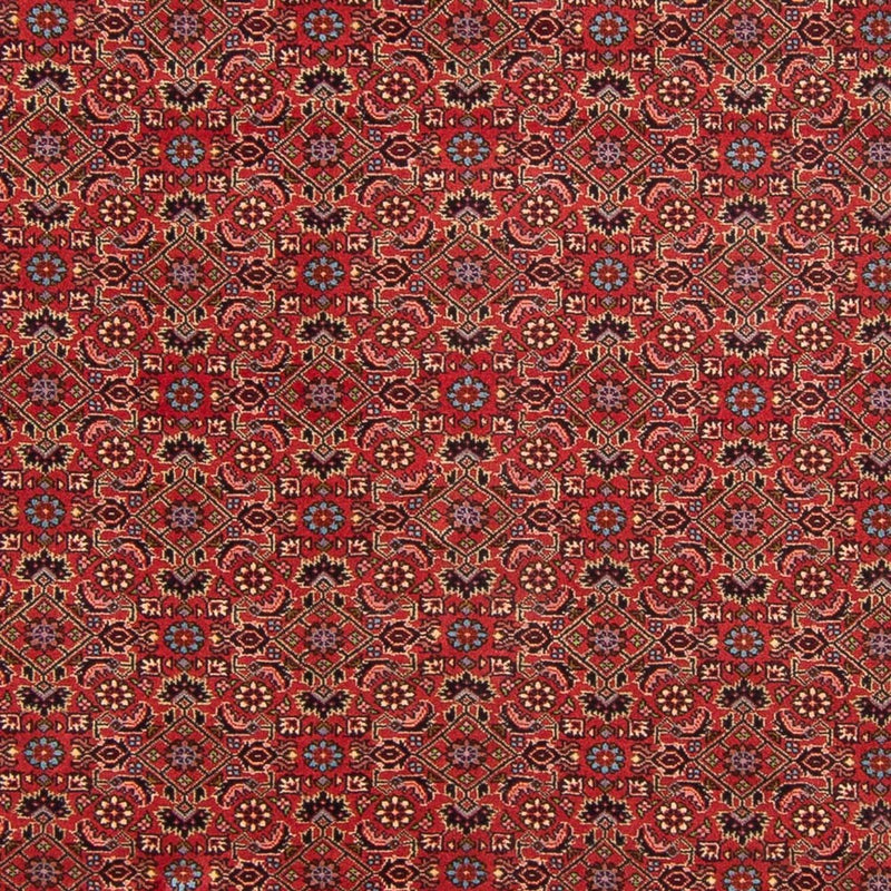 Perserteppich - Bidjar - Royal - 296 x 197 cm - rot