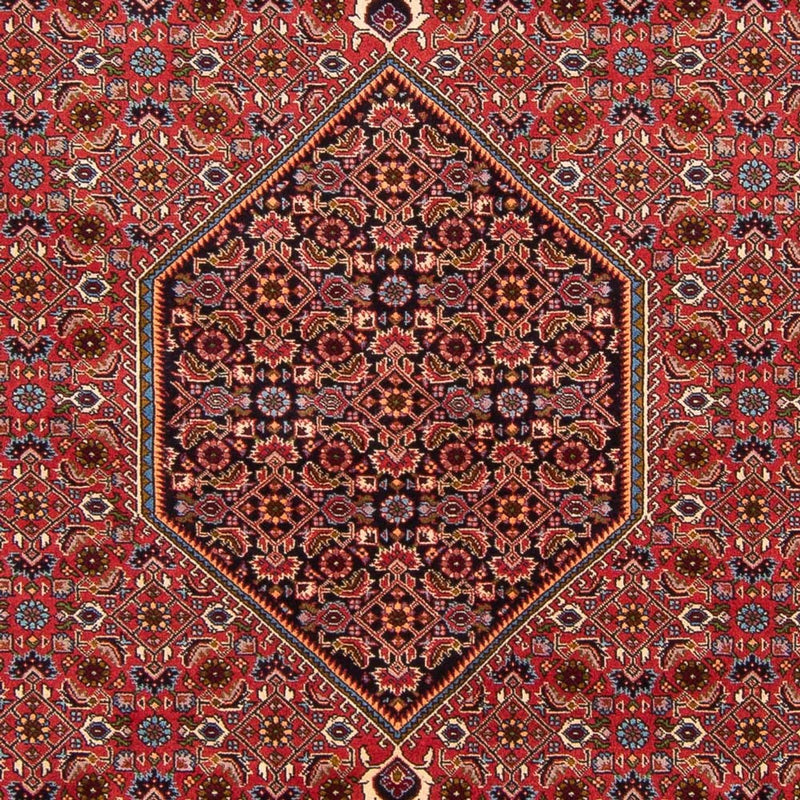 Perserteppich - Bidjar - Royal - 301 x 200 cm - rot