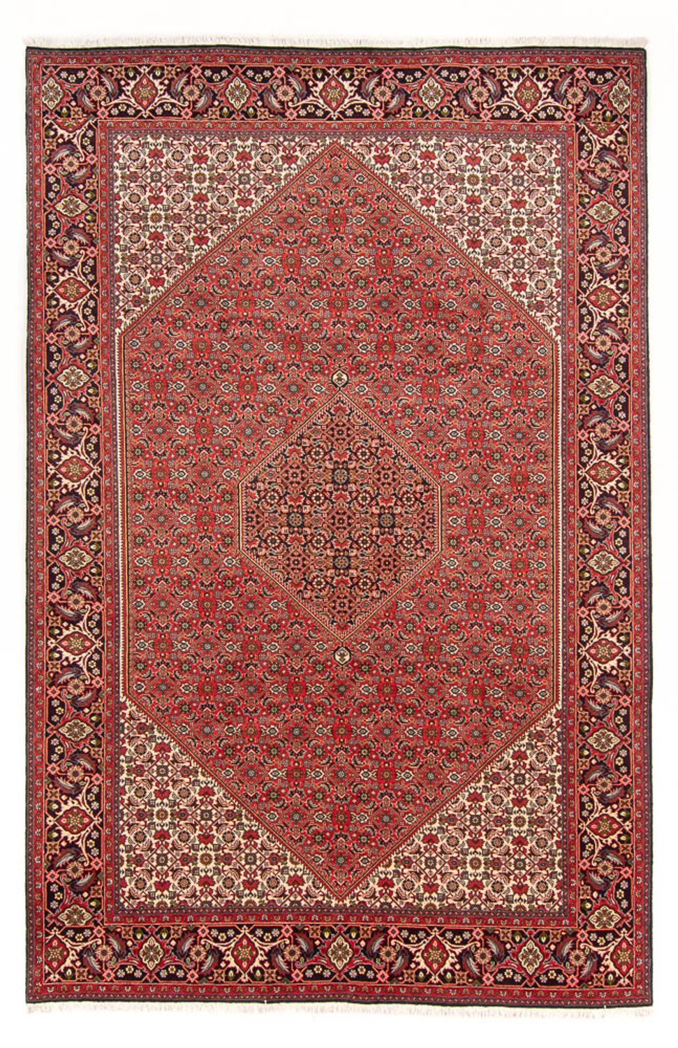Perserteppich - Bidjar - Royal - 298 x 197 cm - rot