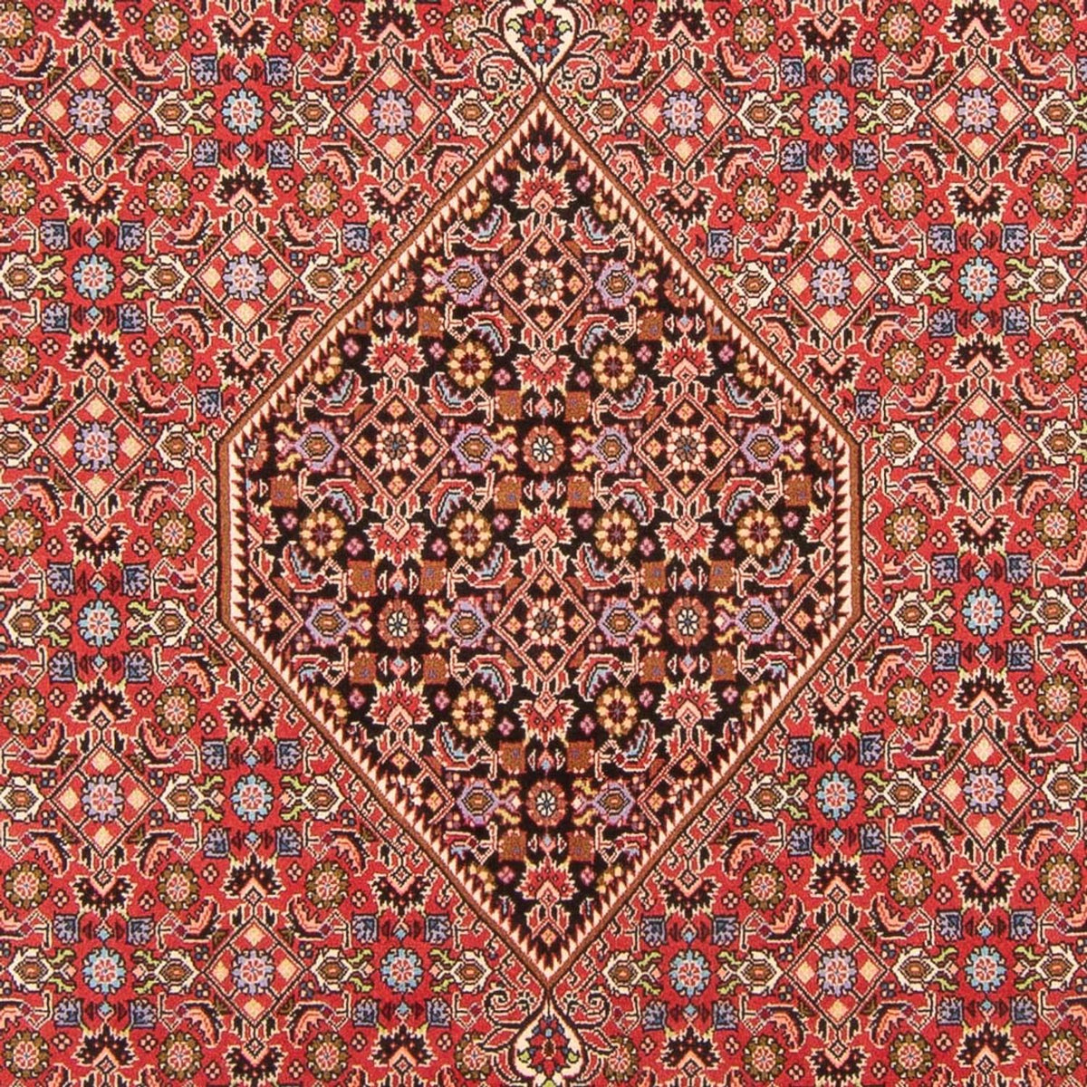 Perserteppich - Bidjar - Royal - 294 x 200 cm - rot