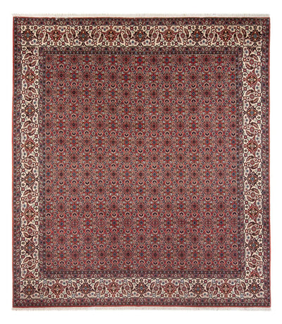 Bidjar - Bukan Teppich 248x296cm - Perserteppich