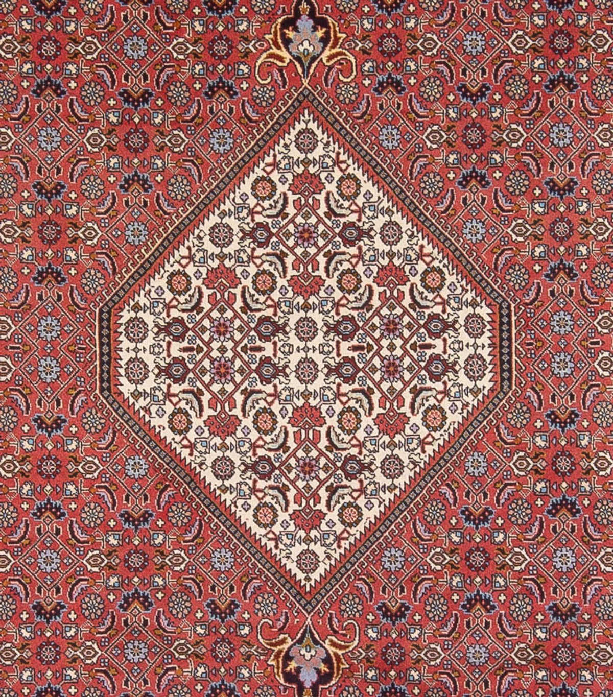 Perserteppich - Bidjar - Royal - 337 x 250 cm - dunkelrot