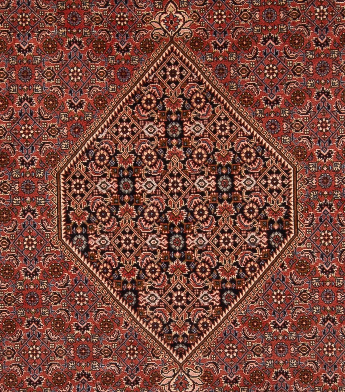 Perserteppich - Bidjar - Royal - 344 x 250 cm - rost