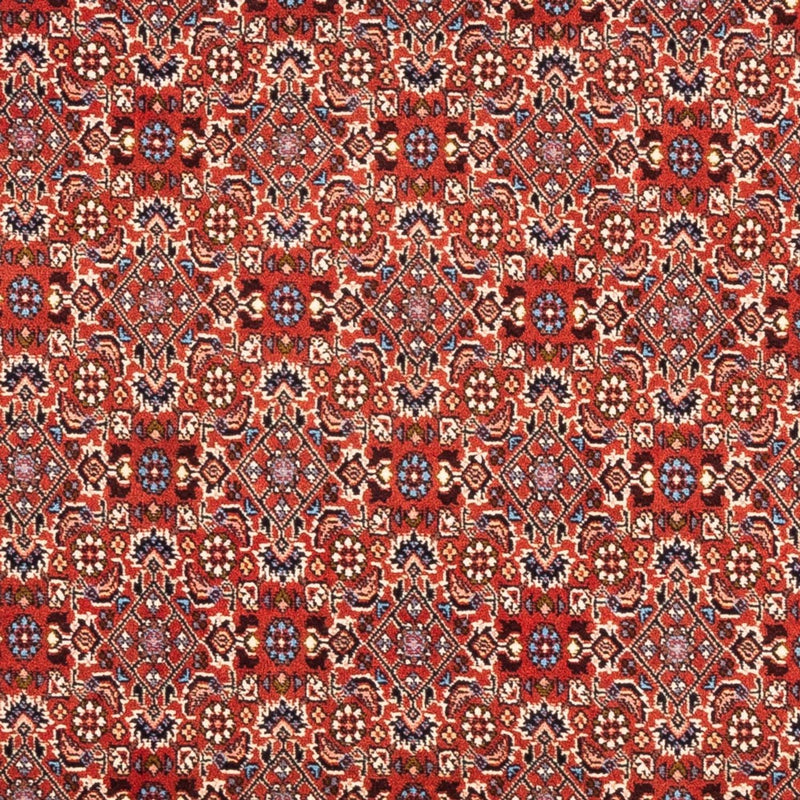 Perserteppich - Bidjar - Royal - 180 x 110 cm - rot