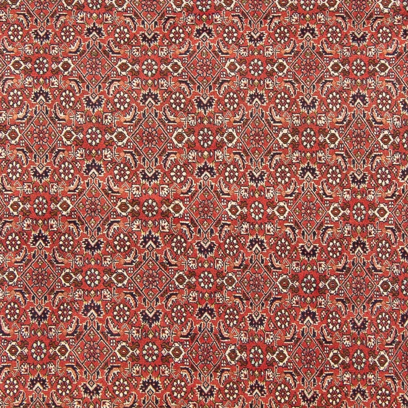 Perserteppich - Bidjar - Royal - 305 x 200 cm - rot