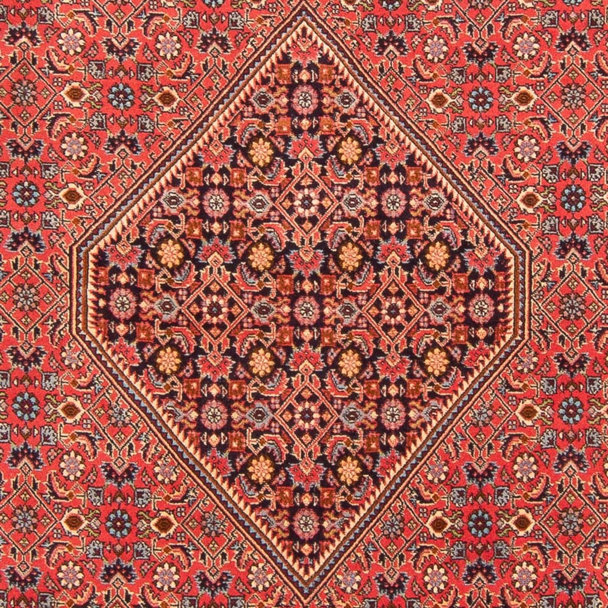 Perserteppich - Bidjar - Royal - 260 x 200 cm - rot