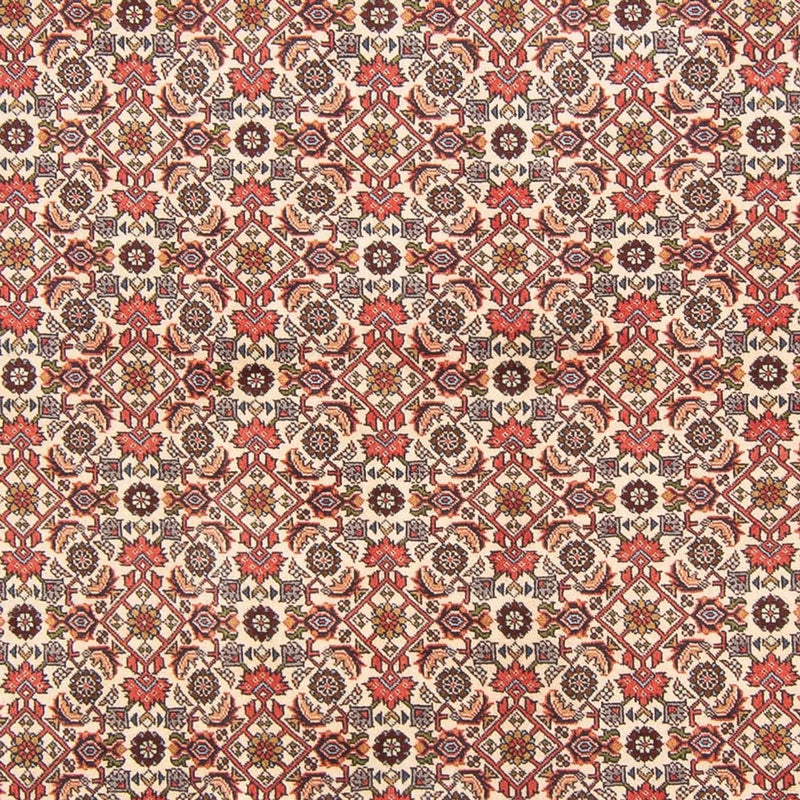 Perserteppich - Bidjar - Royal - 294 x 200 cm - creme