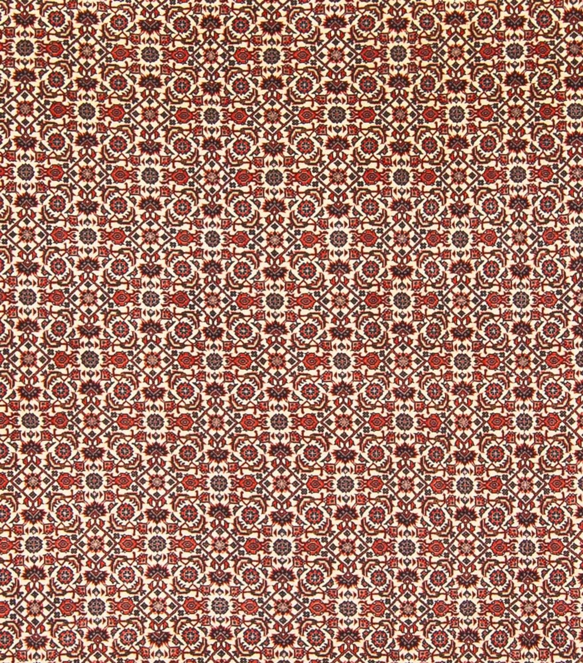 Perserteppich - Bidjar - Royal - 343 x 260 cm - creme