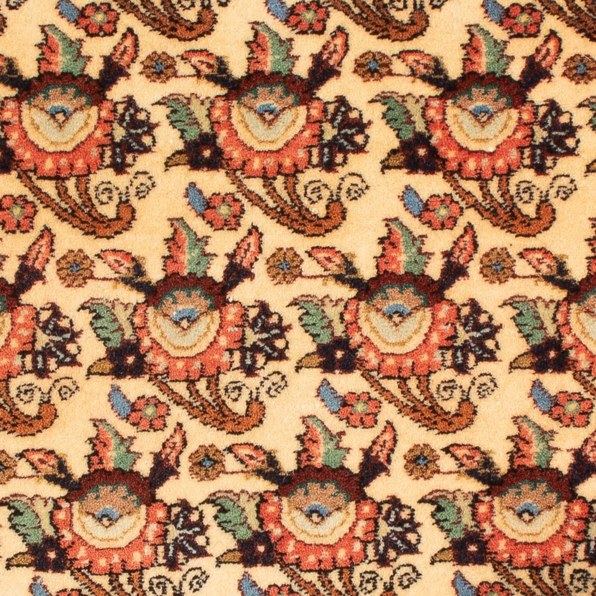 Perserteppich - Bidjar - Royal - 90 x 73 cm - creme