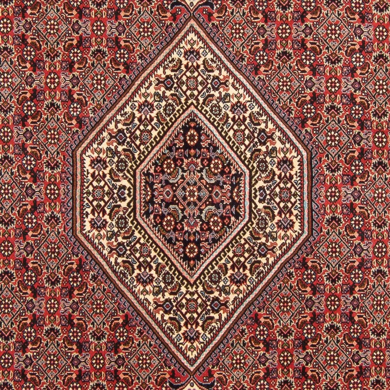 Perserteppich - Bidjar - Royal - 294 x 200 cm - rot