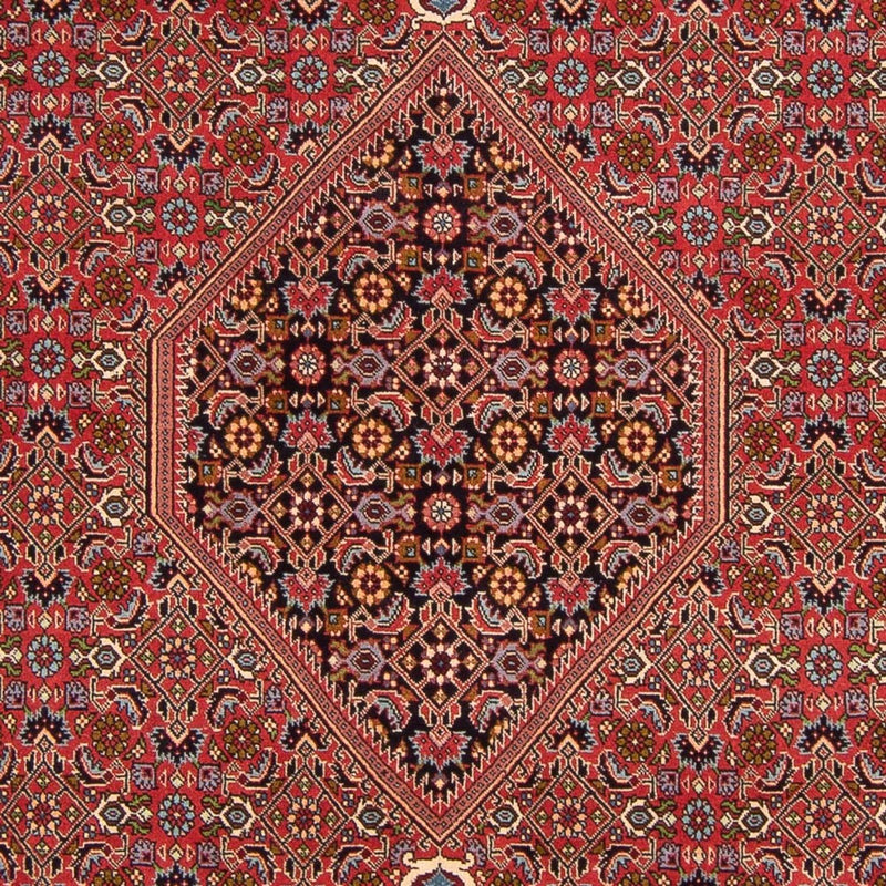 Perserteppich - Bidjar - Royal - 307 x 200 cm - rot
