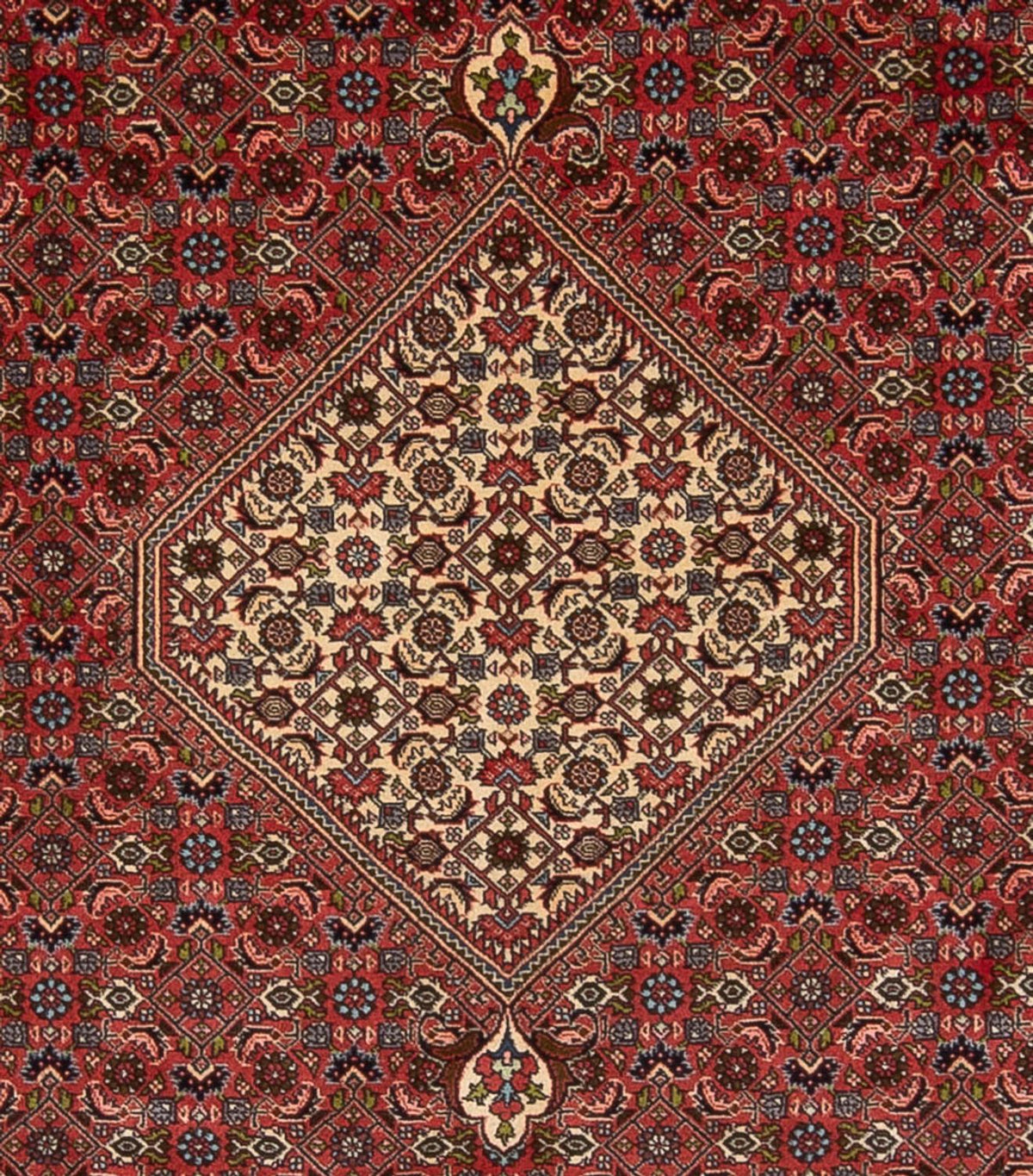 Perserteppich - Bidjar - Royal - 314 x 255 cm - dunkelrot