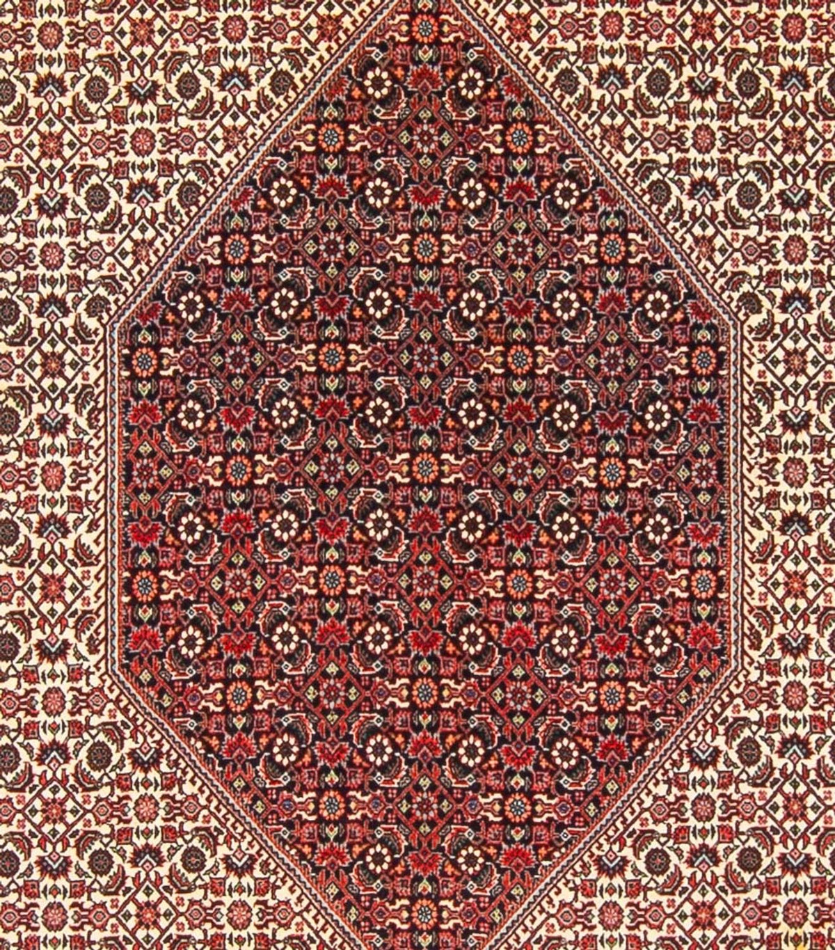 Perserteppich - Bidjar - Royal - 300 x 253 cm - creme