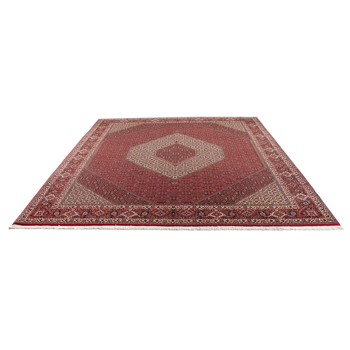 Perserteppich - Bidjar - Royal - 301 x 253 cm - creme