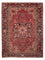 Perserteppich - Nomadic - 350 x 250 cm - rot