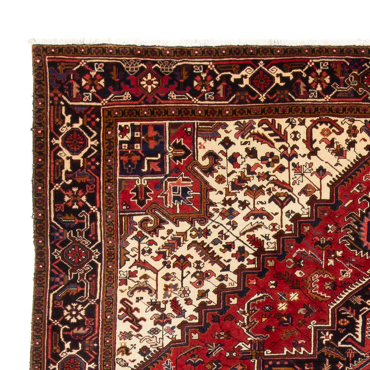 Perserteppich - Nomadic - 339 x 243 cm - creme