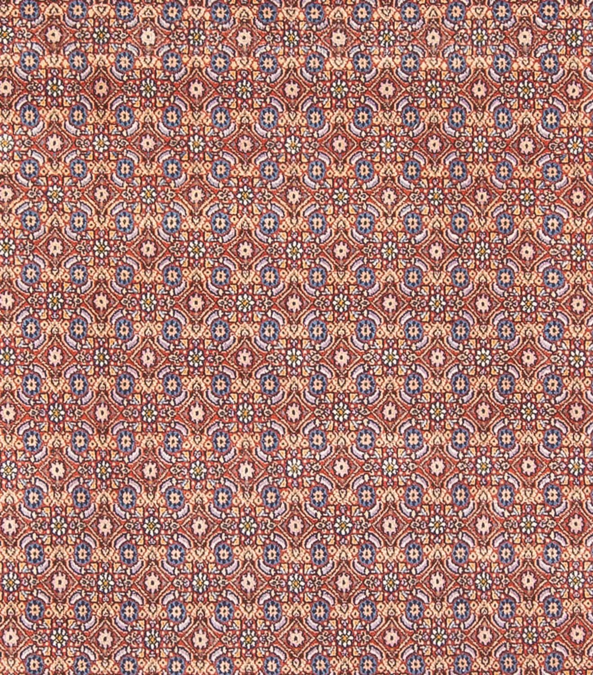 Perserteppich - Classic - 294 x 243 cm - dunkelblau