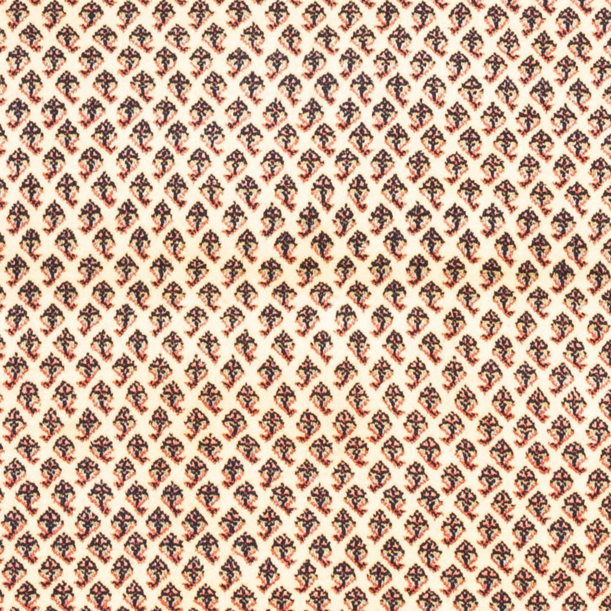 Perserteppich - Mir - 160 x 107 cm - creme
