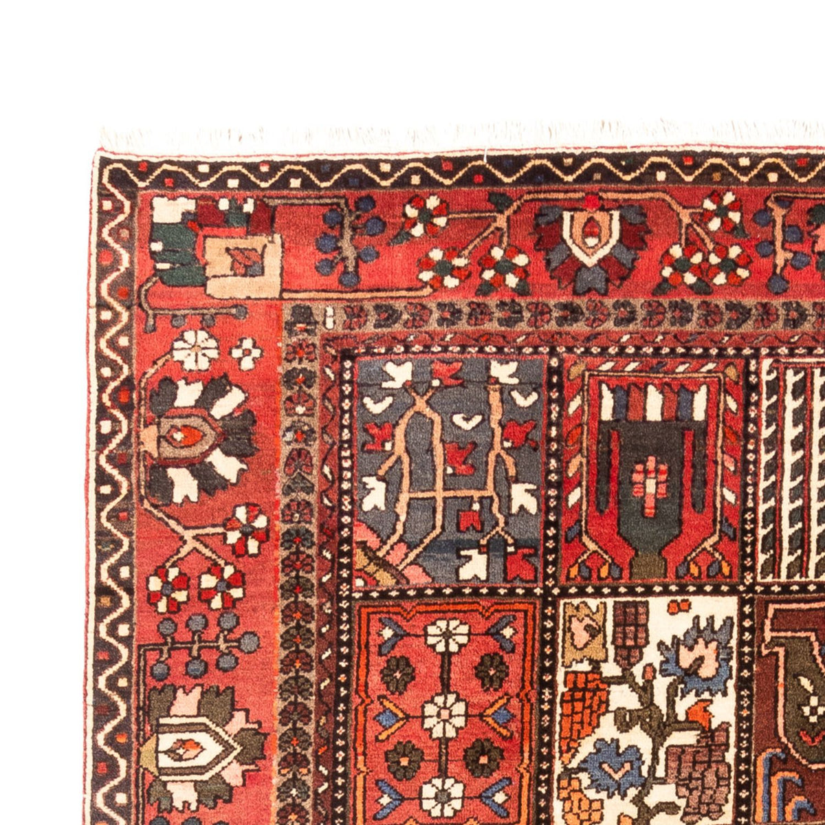 Perserteppich - Nomadic - 314 x 207 cm - mehrfarbig