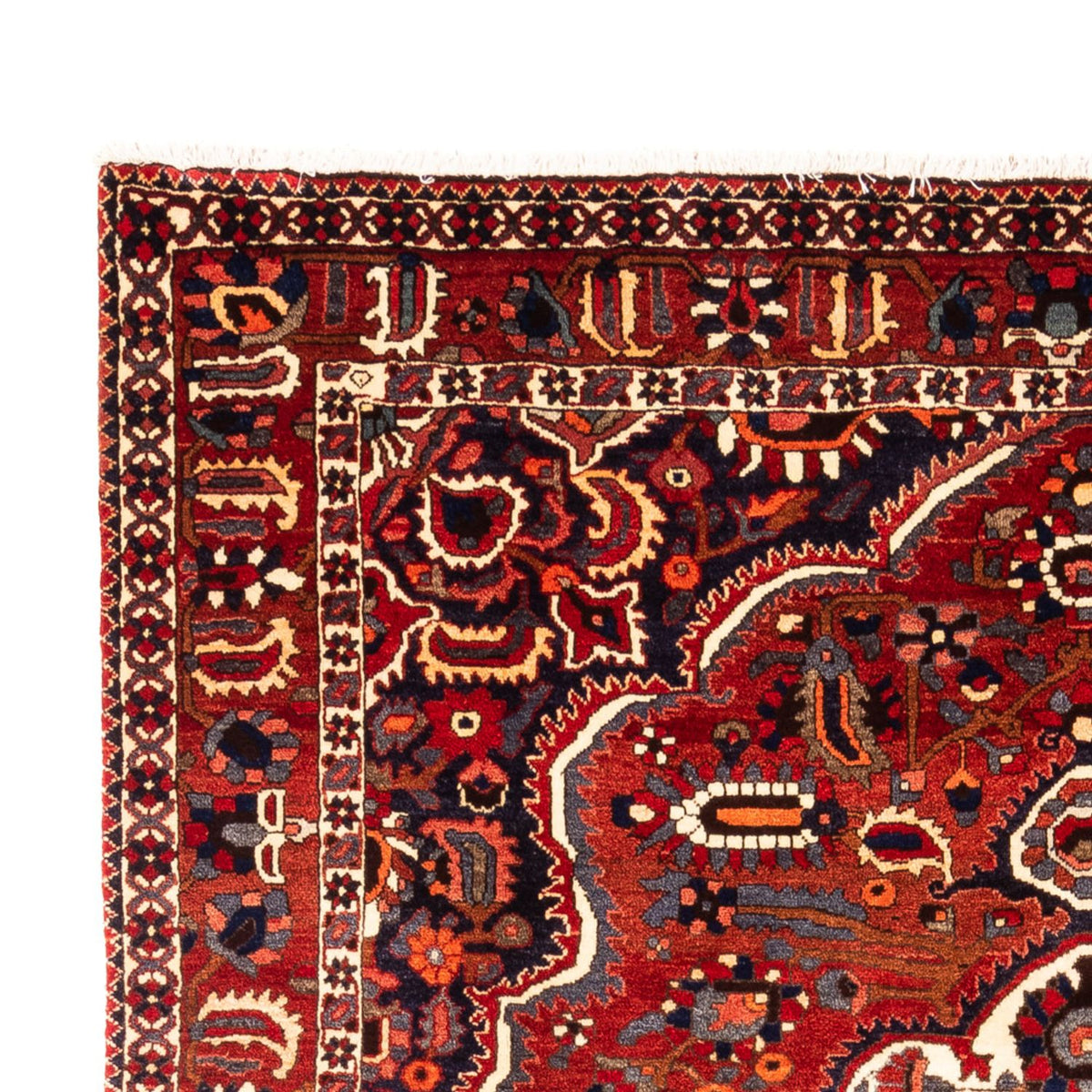 Gabbeh Teppich - Perser - 302 x 207 cm - mehrfarbig