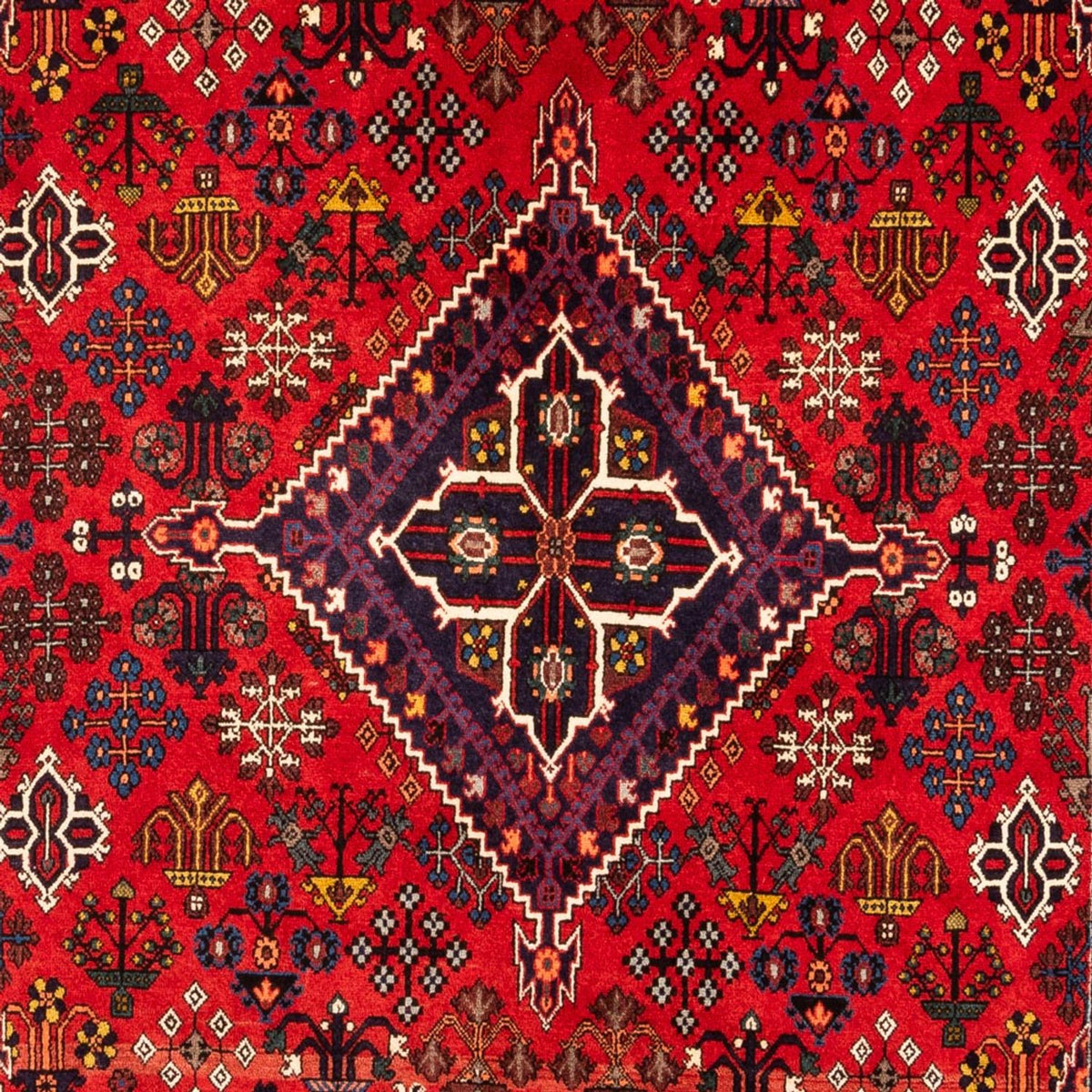Gabbeh Teppich - Perser - 320 x 216 cm - mehrfarbig