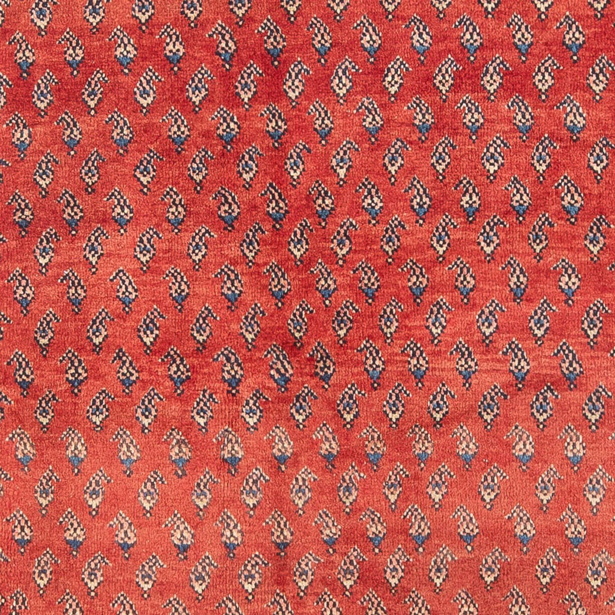 Perserteppich - Nomadic - Royal - 211 x 134 cm - rot