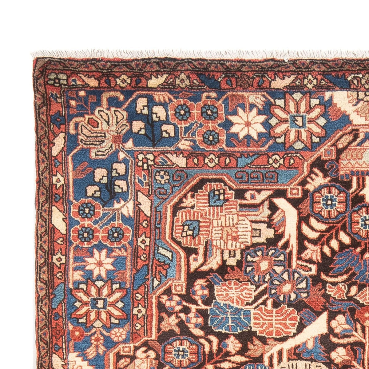 Perserteppich - Nomadic - 244 x 155 cm - hellrot