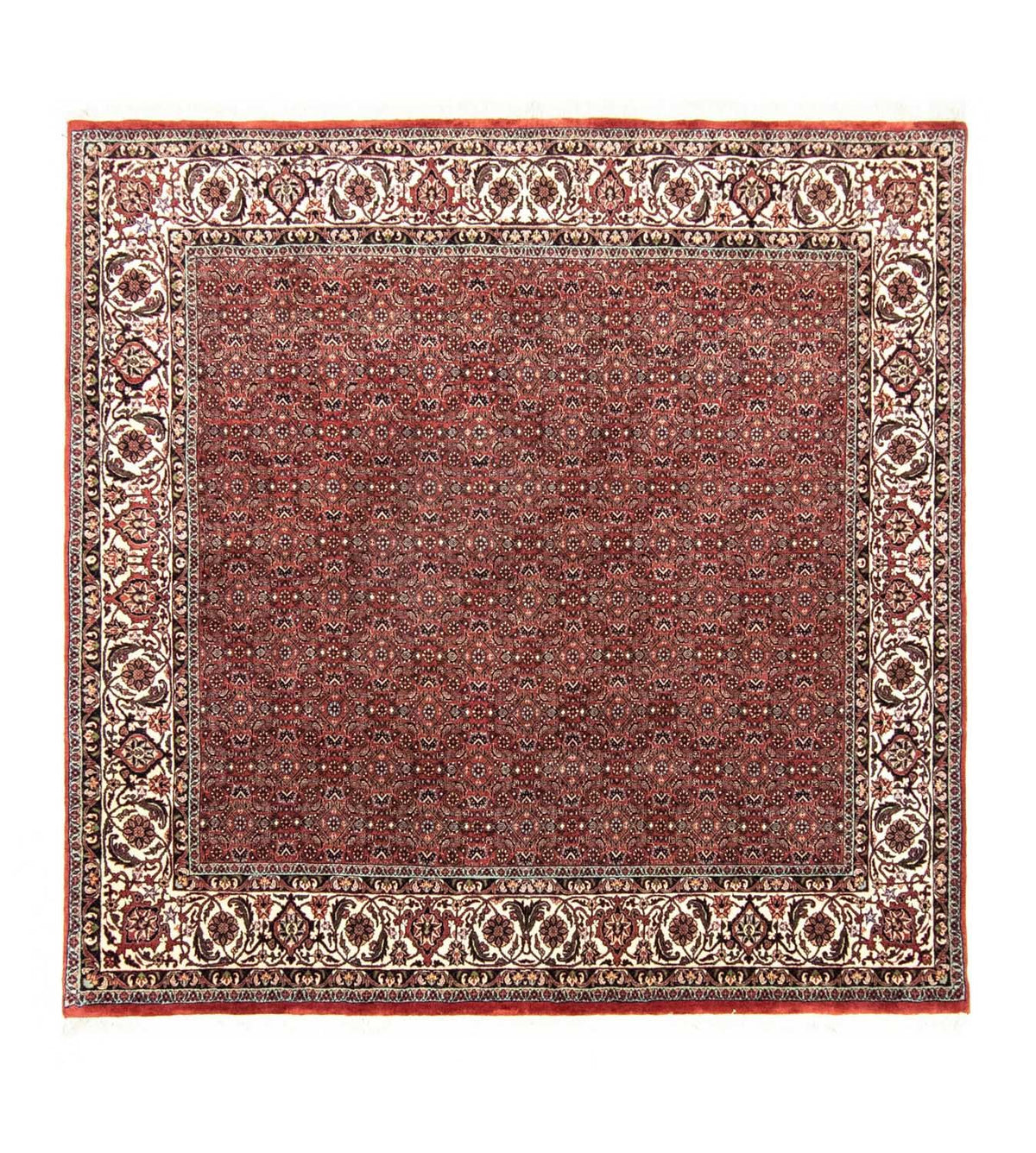 Perserteppich - Bidjar 203 x 201 cm Quadratischer Teppich