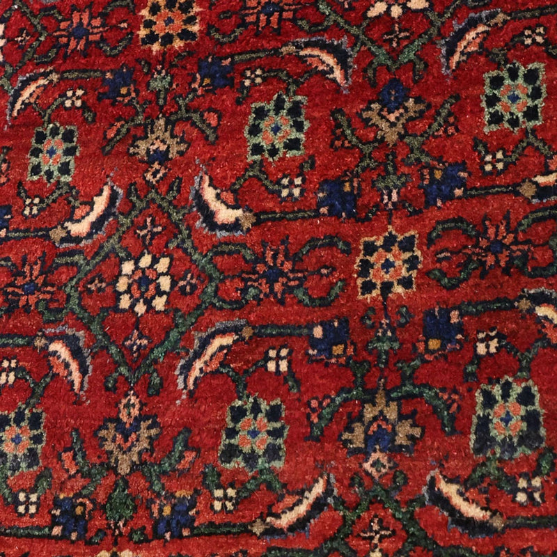 Perserteppich - Bidjar - Royal - 288 x 168 cm - dunkelrot
